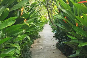 Bukit Kirana Villas - Image 3