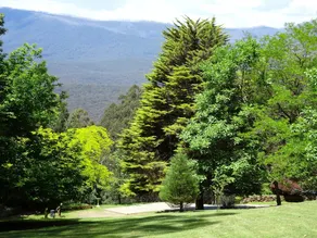 Eagles Nest Luxury Mountain Retreat - Image 2