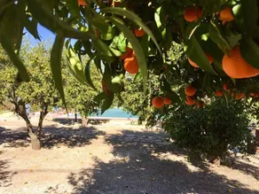 Agriturismo Coscio di Badia - Image 4