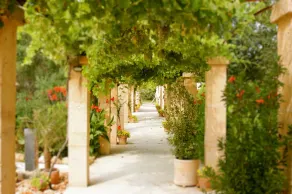 Finca Son Sampoli - Image 3