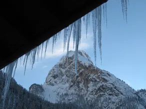 Appartamenti Chalet Orchidea - Image 4