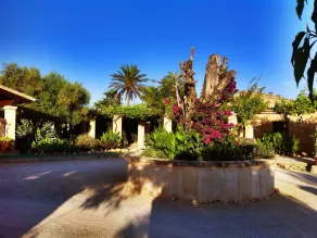 Finca Son Sampoli - Image 5