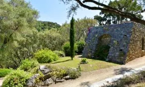 Apartment With one Bedroom in Saint Florent, With Shared Pool and Enclosed Garden - Image 5