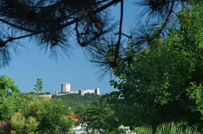 Villa Dimitris - Image 3
