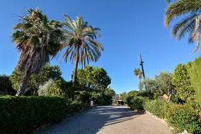 Villa Olivo & Molino - Image 3