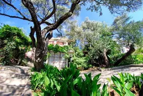 Elena Guest House - Image 4
