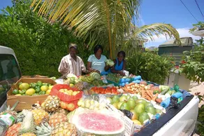Honeycombe Villa by Jamaican Treasures - Image 2