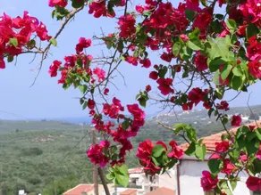 Fenareti's Houses - Image 2