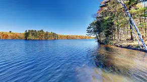 Musky Bay Hideaway On The Chippewa Flowage - Image 2