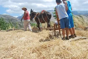 Arodamos Traditional Houses - Image 5