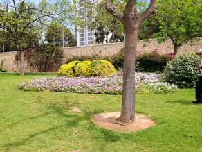 3 bedrooms appartement with wifi at Valencia 4 km away from the beach - Image 4