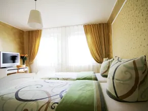 B&b Emg - Image 2