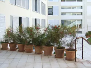 Apartments Las Arcadias - Image 3