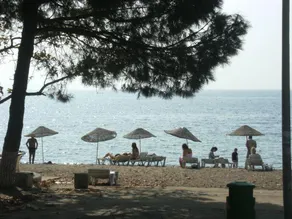 Kondu - Image 5