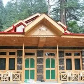 Dev Conifers Green - Image 3