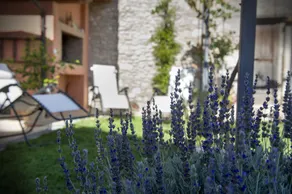 B&B Casanise - Image 2