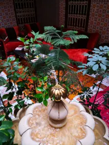 Riad Itry Hostel - Image 1