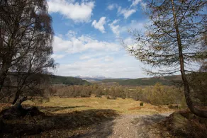 Juniper Hill, Loch Achilty - Image 3
