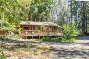 Forest Sea Cabin - Image 4