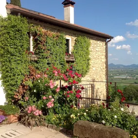 Agriturismo Le Mandolare - Image 2