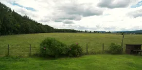 Hillview Cottage - Image 4