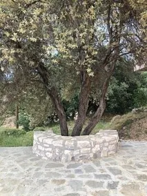 Oros Villas - Image 2