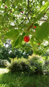Mas De Cocagne En Provence - Image 5