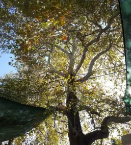 Zeushan Hotel - Image 3