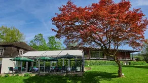 Seminar Residenz Villa Silva - Image 3