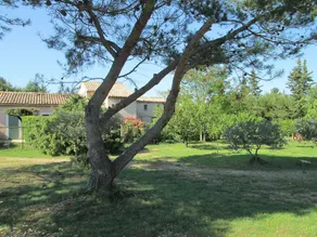 La Garrigue Des Alpilles - Image 4