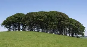 Rowan - Luxury Eco Pod at Trewithen Farm Glamping - Image 4