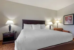 Lake Texoma Inn and Suites - Image 3
