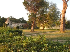 Chateau de Puyrigaud - Image 2