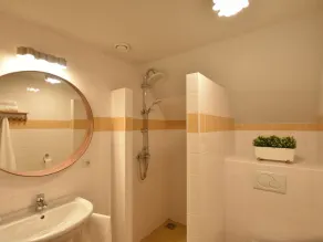Fabulous Detached Farmhouse With hot tub and Sauna, in a Rural Setting in Holten - Image 3
