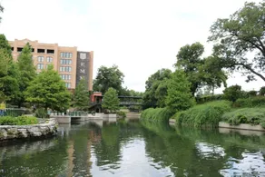 Impressive Cozy Historic 2BR Apt 201 Near Downtown - Image 3
