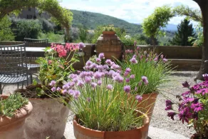 Relais Mastro Cinghiale - Image 4