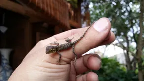 Cat Tien Farm Stay - Image 3