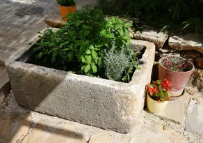 House Sound System - Image 4