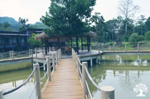 The Acacia Retreat - Image 4