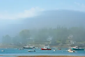 2br Sea Glass , Mins To Downtown & Acadia 2 Bedroom Cottage - Image 4