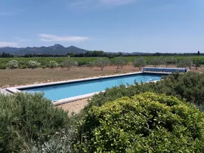 Le Domaine De Tini - Image 2