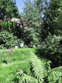 St. Pauls Bed & Breakfast - Image 3