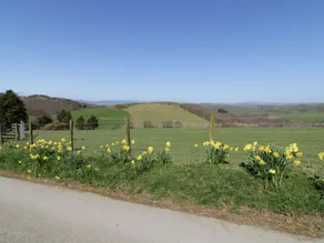 Y Daflod - Image 5