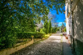 Finca Micalas - Image 3