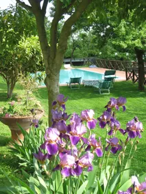 Agriturismo La Capitata - Image 2