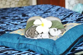 Balisani Padma Hotel - Image 2