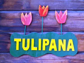 Tulipana Berther Tujetsch - Image 2