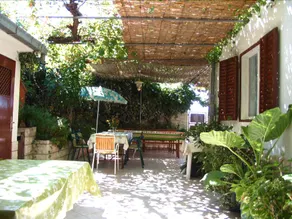 Vijola - Image 2