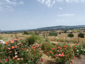 Scappo In Umbria, Casale le Stelle Num003 - Image 4