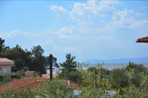 Amarilia Studios - Image 3